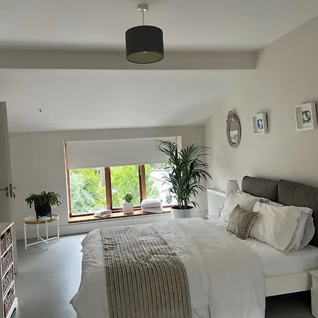 Blue Door Canal House Apartment Galway
